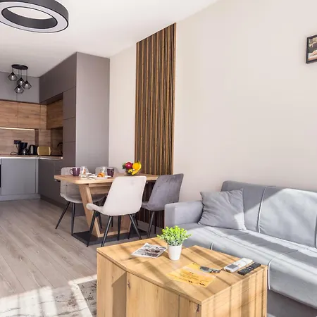 Modern 1br With Free Parking And Free Gym Pass Apartment *